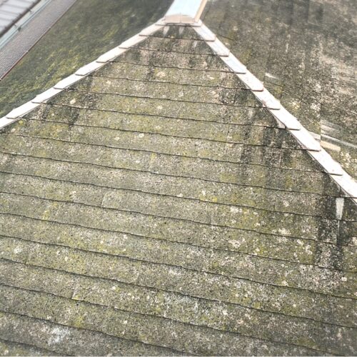 Mossy sloped roof with dark slate shingles and a wooden ridge trim running along the peak.